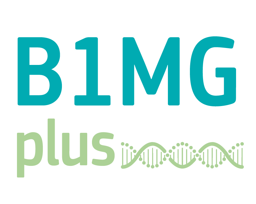 B1MGplus