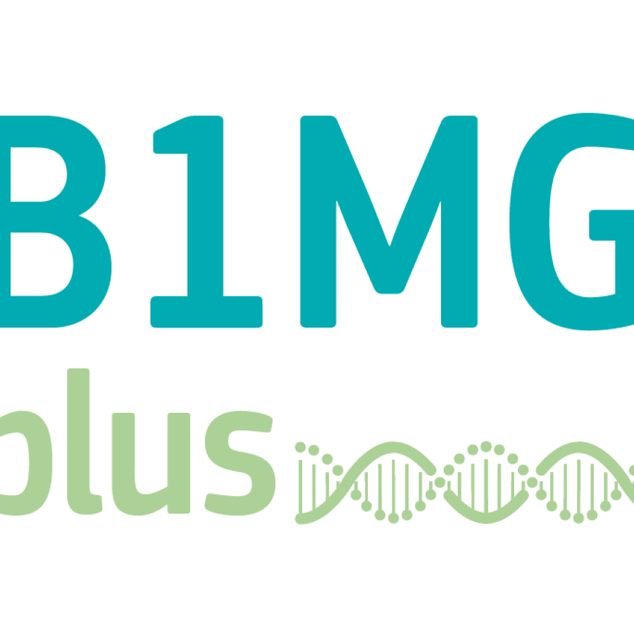 B1MGplus